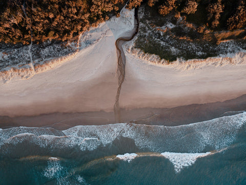 Immersive Leadership Experiences